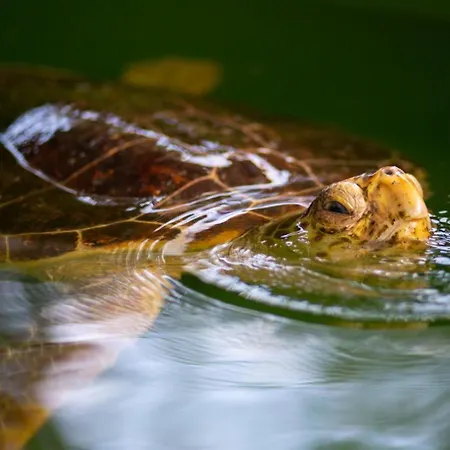 Emel Paradise Semesterbostad Muğla