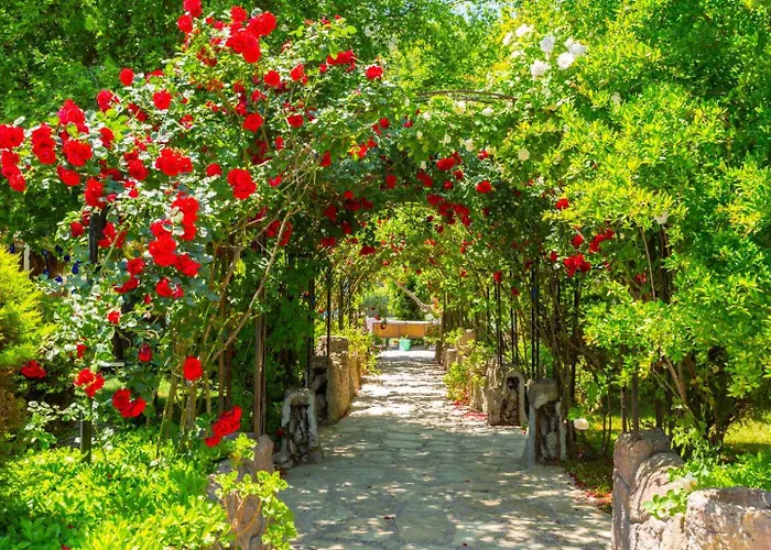 Emel Paradise